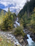IMG_4695