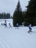 IMG_6522