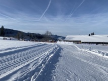 IMG_5763