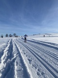 IMG_5765